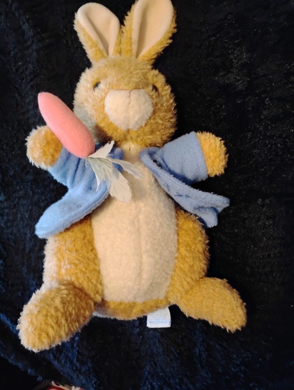 Peter Rabbit with Blue Jacket and Pink Carrot Toy